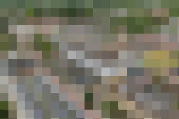 Hoornseschans 34 Nieuwegein thumbnail 30