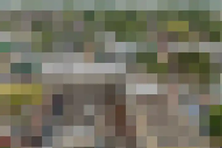 Hoornseschans 34 Nieuwegein thumbnail 31