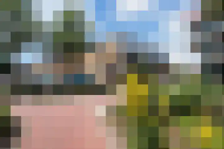 Hoornseschans 34 Nieuwegein thumbnail 5