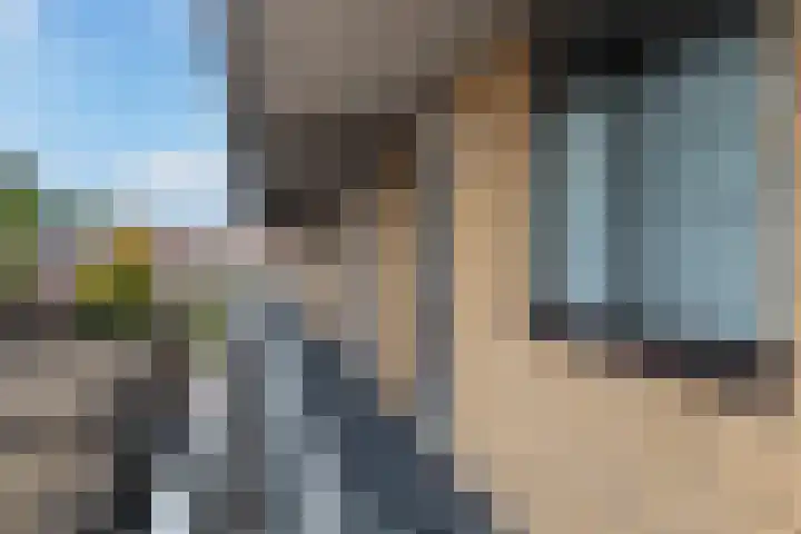 Hoornseschans 34 Nieuwegein thumbnail 9