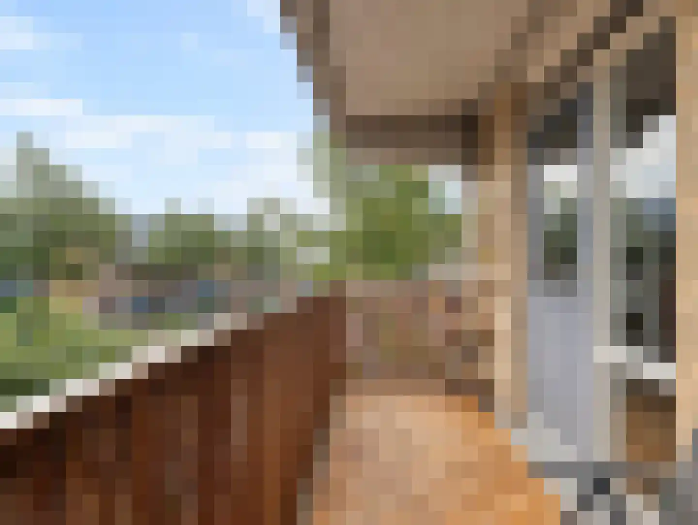 Hoornseschans 38 Nieuwegein thumbnail 22
