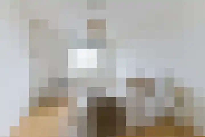 Hoornseschans 44 Nieuwegein thumbnail 23