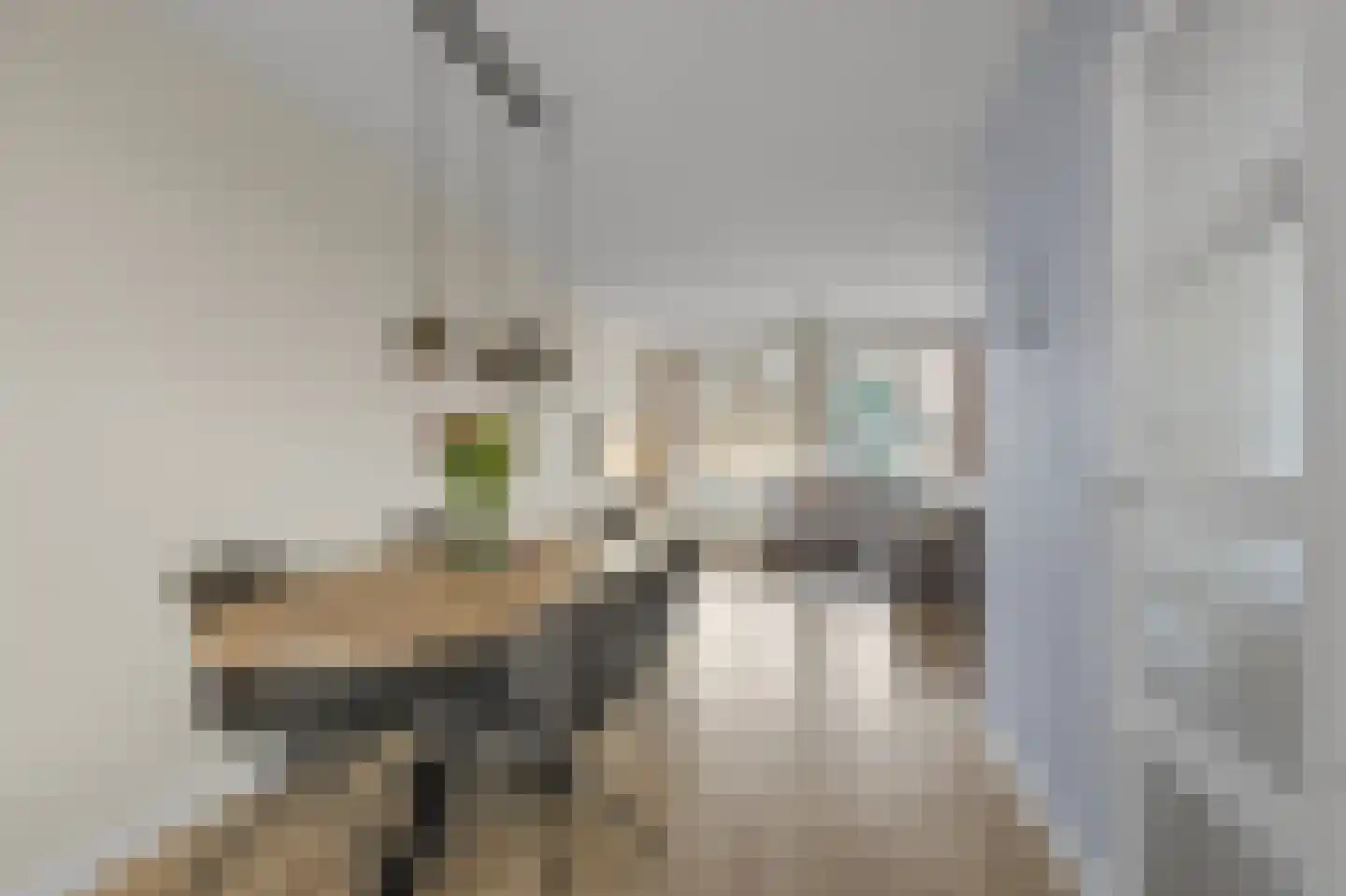 Hoornseschans 70 Nieuwegein thumbnail 14