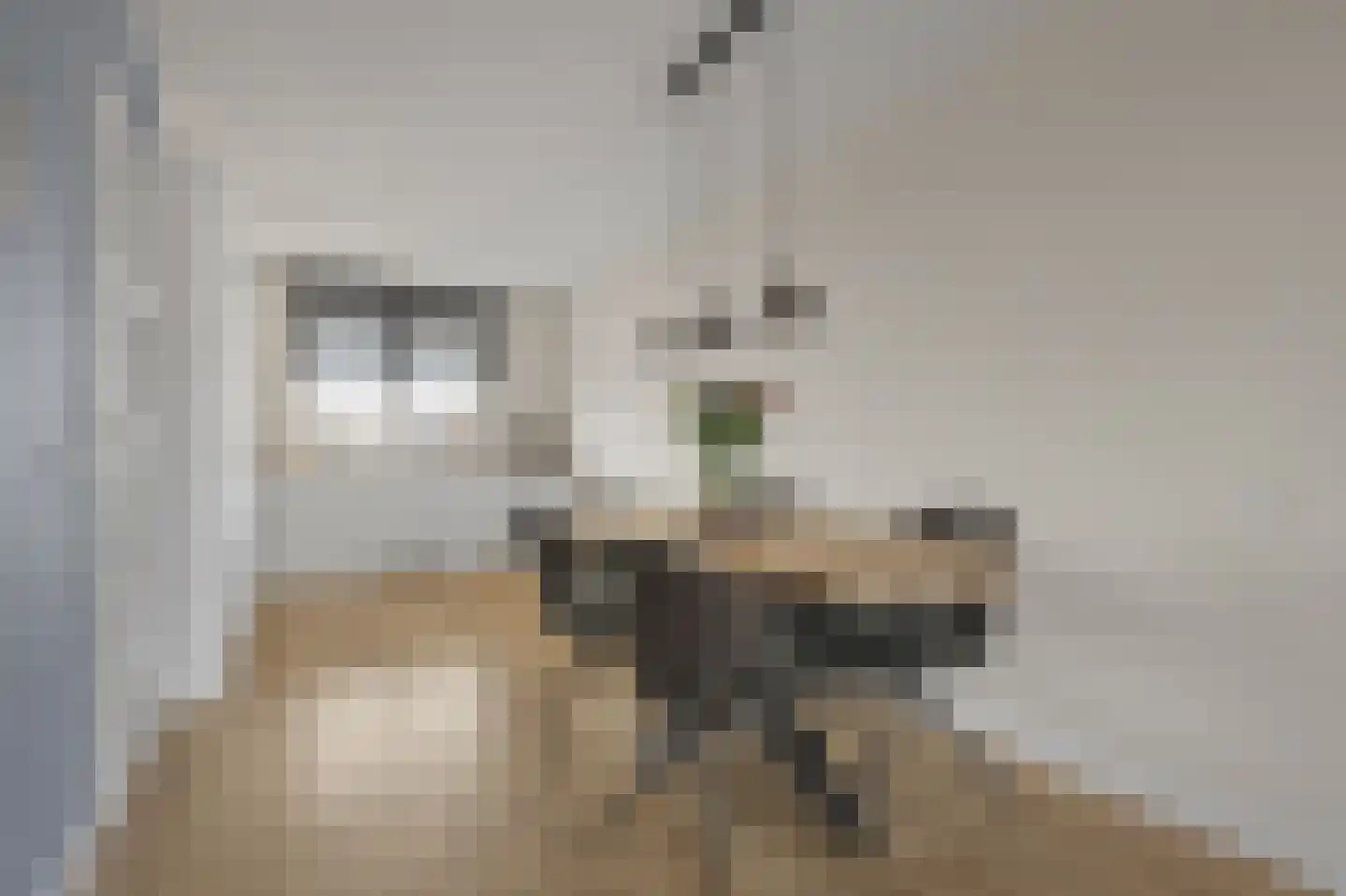 Hoornseschans 70 Nieuwegein thumbnail 4