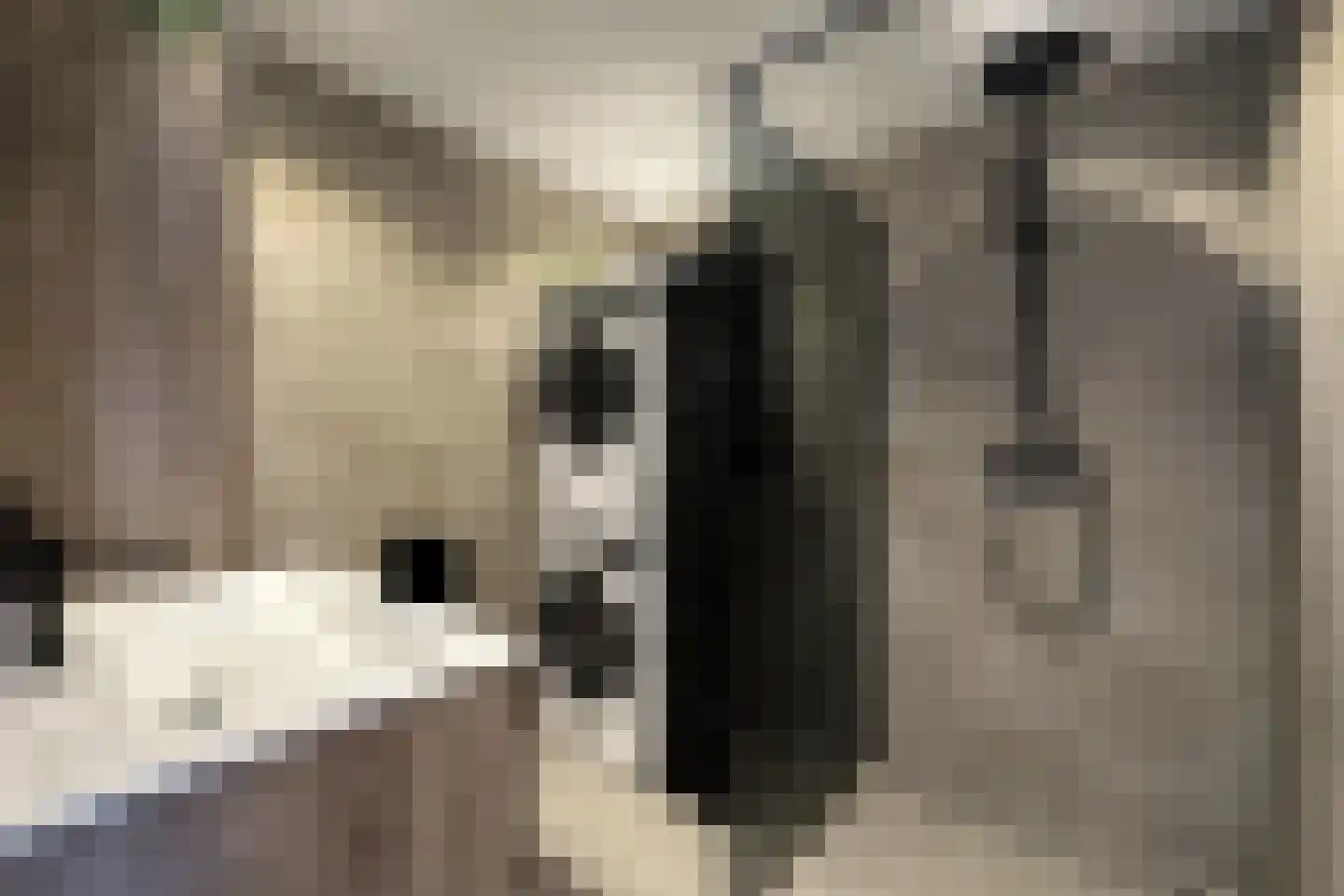 Hoornseschans 70 Nieuwegein thumbnail 5