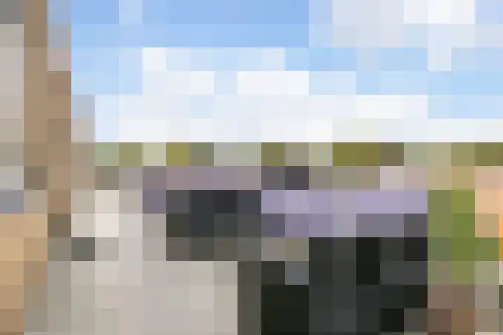 Hoornseschans 86 Nieuwegein thumbnail 13