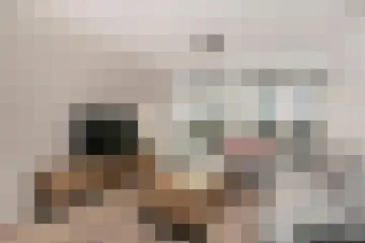 Hoornseschans 86 Nieuwegein thumbnail 6