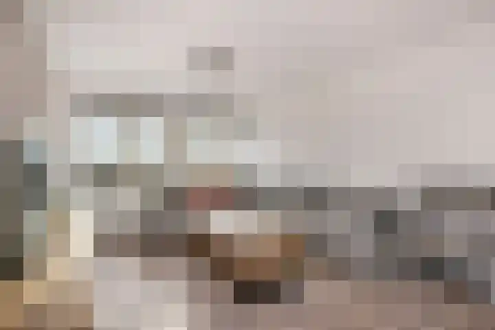 Hoornseschans 86 Nieuwegein thumbnail 8