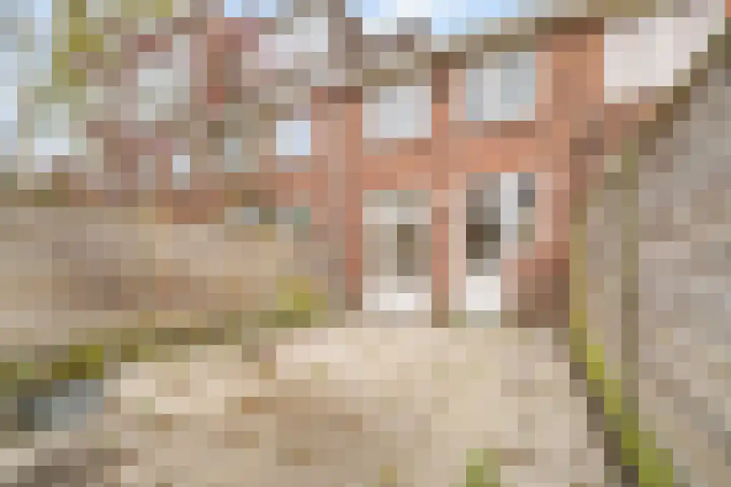 Hoornsestraat 27 Delft thumbnail 23