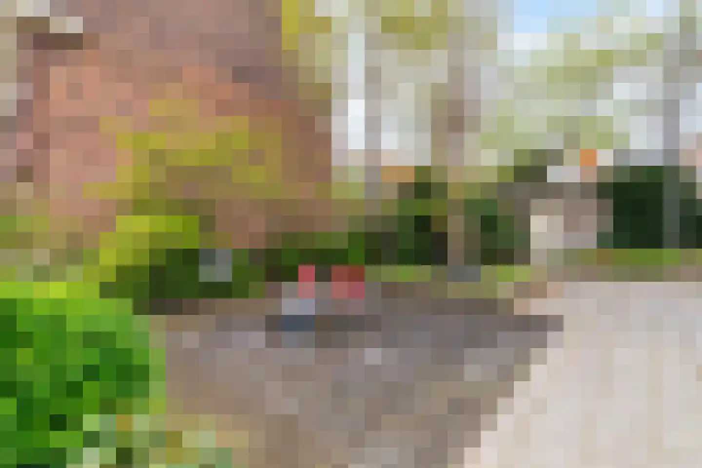 Hoornsestraat 27 Delft thumbnail 24