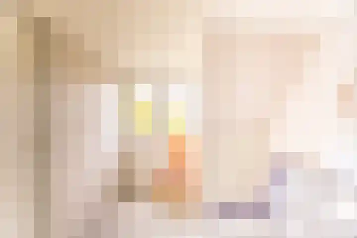 Hoornseweg 27 Wognum thumbnail 32