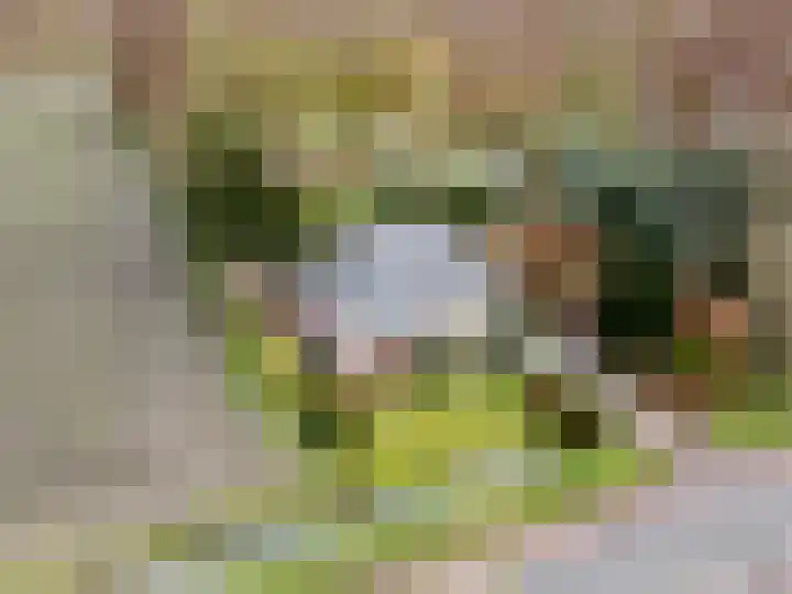 Hoornseweg 27 Wognum thumbnail 35