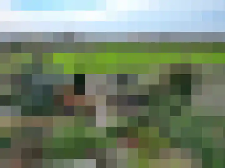 Hoornseweg 27 Wognum thumbnail 37