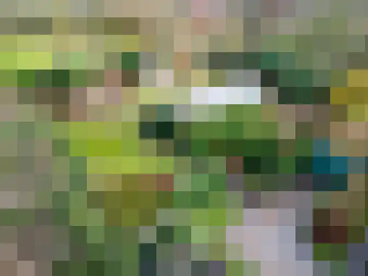 Hoornseweg 27 Wognum thumbnail 38