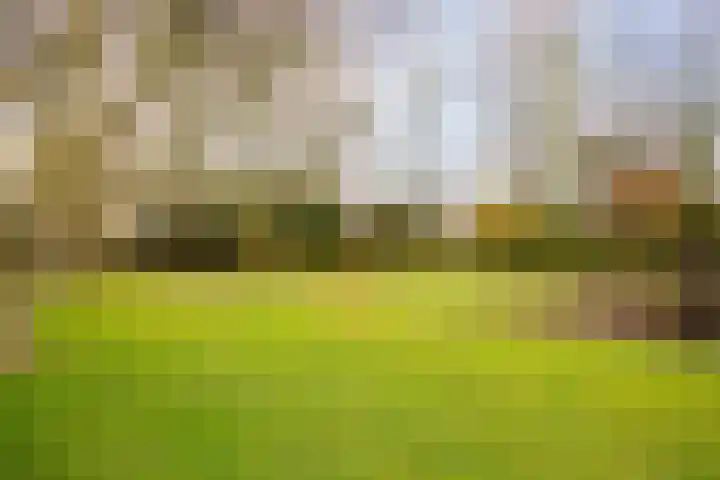 Hoornseweg 27 Wognum thumbnail 39