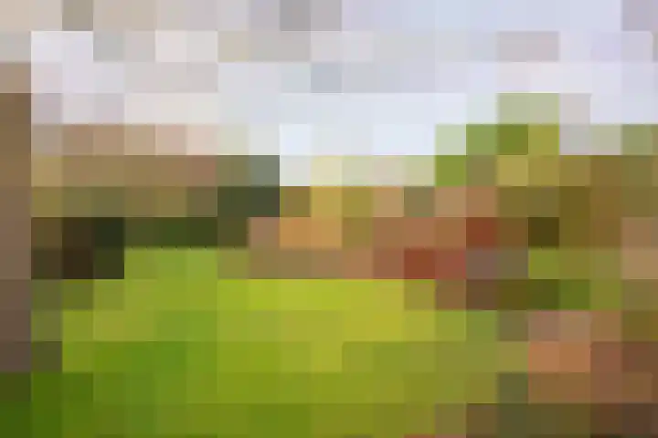 Hoornseweg 27 Wognum thumbnail 40