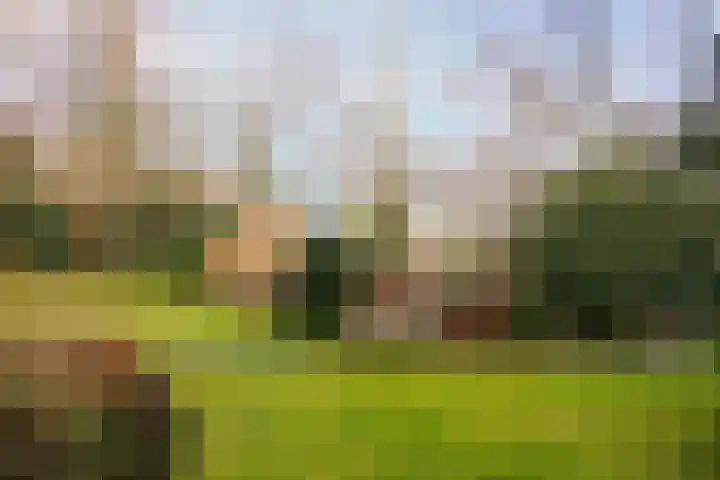 Hoornseweg 27 Wognum thumbnail 41