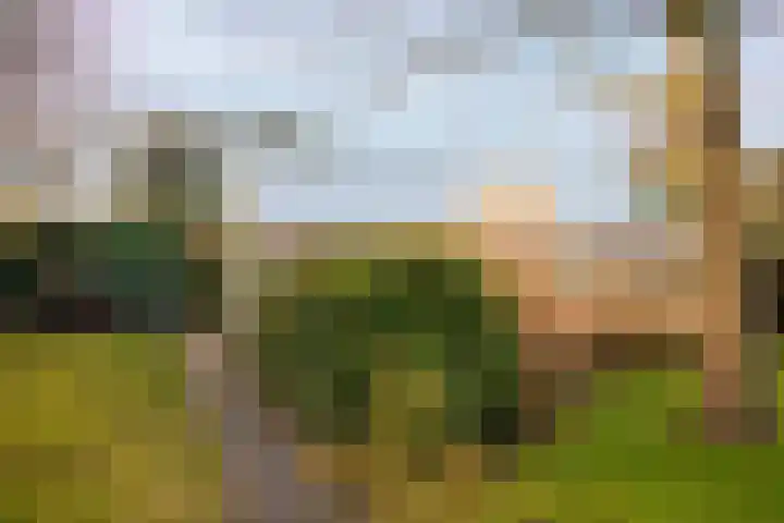 Hoornseweg 27 Wognum thumbnail 42