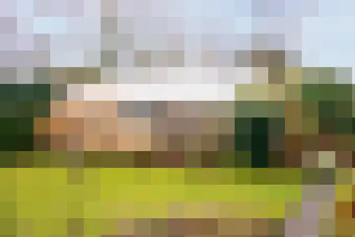 Hoornseweg 27 Wognum thumbnail 43