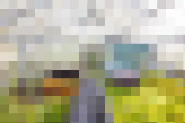 Hoornseweg 27 Wognum thumbnail 45