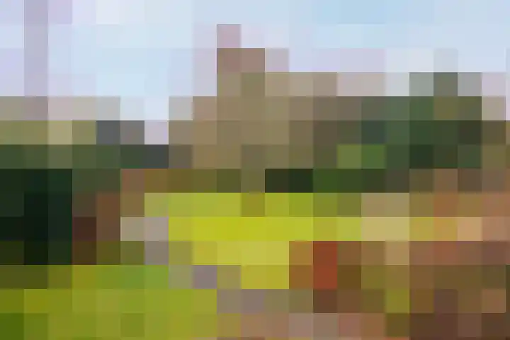 Hoornseweg 27 Wognum thumbnail 47