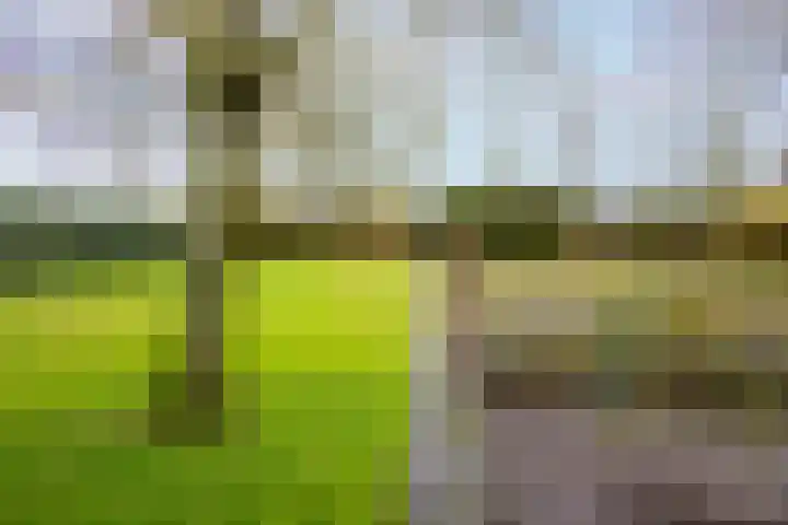 Hoornseweg 27 Wognum thumbnail 48
