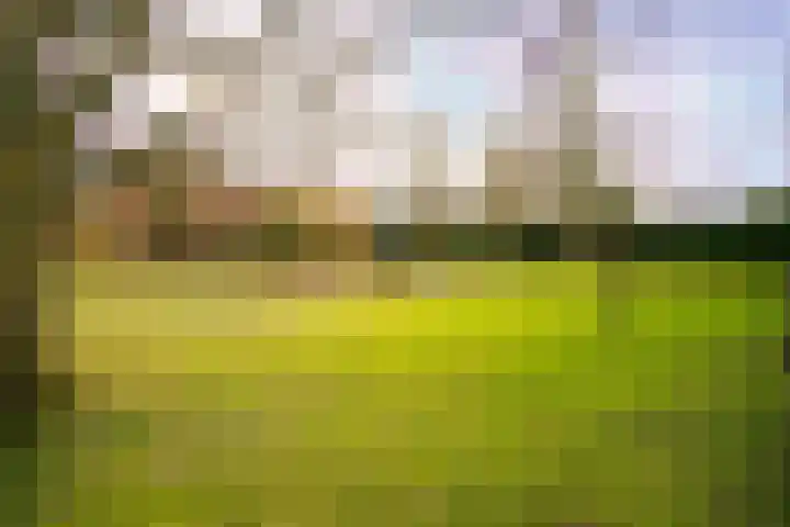 Hoornseweg 27 Wognum thumbnail 49