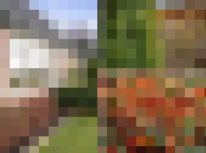 Hoornseweg 27 Wognum thumbnail 7