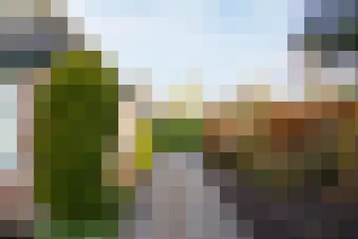 Hoornseweg 27 Wognum thumbnail 8