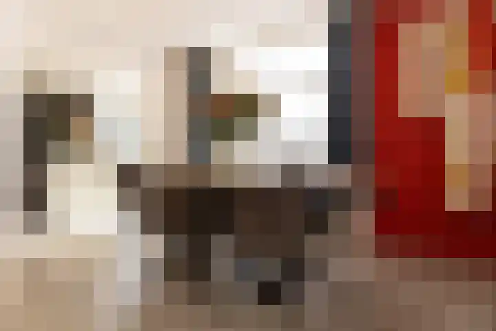 Hoornseweg 31 Wognum thumbnail 12