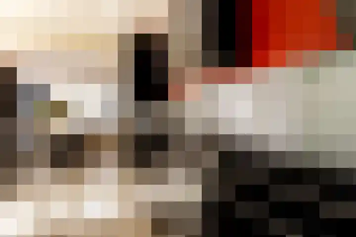 Hoornseweg 31 Wognum thumbnail 14