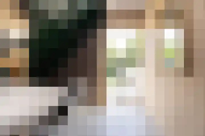 Hoornseweg 31 Wognum thumbnail 25