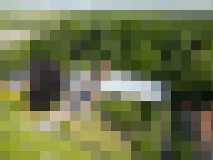Hoornseweg 31 Wognum thumbnail 28