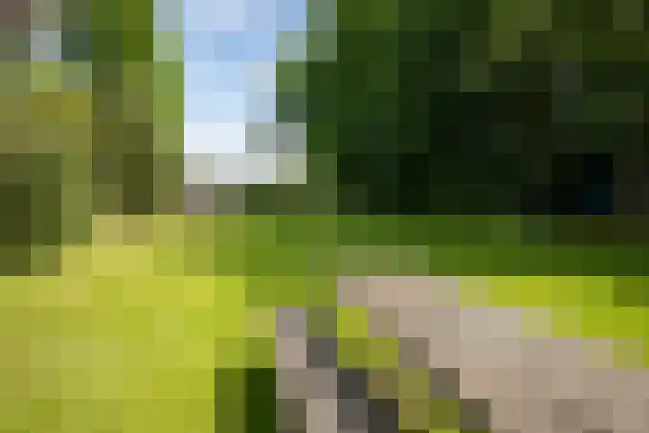Hoornseweg 31 Wognum thumbnail 34