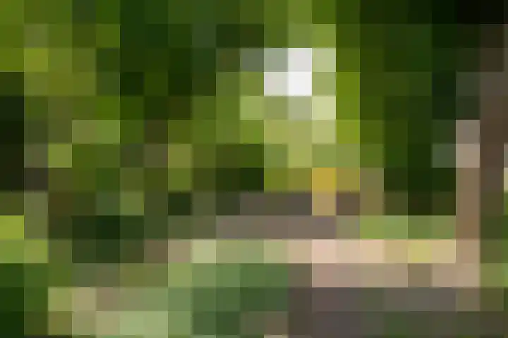 Hoornseweg 31 Wognum thumbnail 35