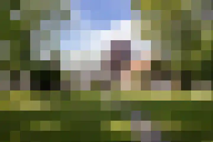 Hoornseweg 31 Wognum thumbnail 36