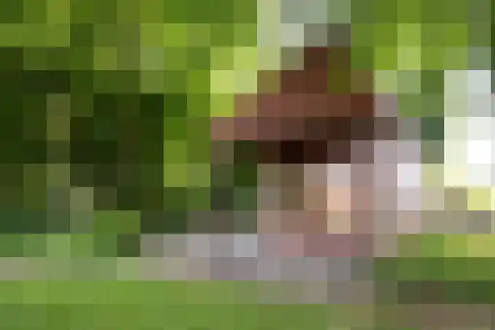 Hoornseweg 31 Wognum thumbnail 40