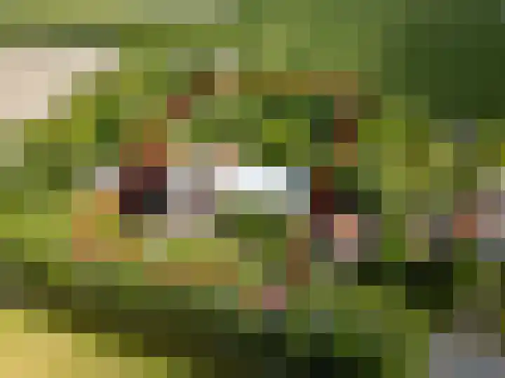Hoornseweg 31 Wognum thumbnail 65