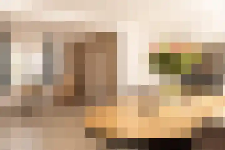 Hoornseweg 31 Wognum thumbnail 7
