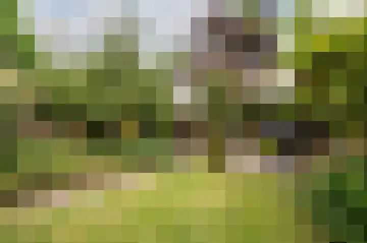 Hoornsgulden 8 Dronten thumbnail 4