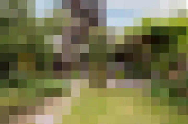 Hoornsgulden 8 Dronten thumbnail 41