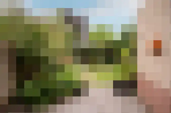Hoornsgulden 8 Dronten thumbnail 42
