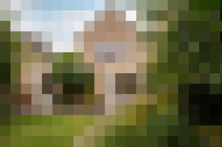 Hoornsgulden 8 Dronten thumbnail 46