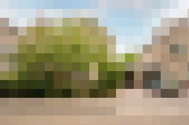 Hoornsgulden 8 Dronten thumbnail 48
