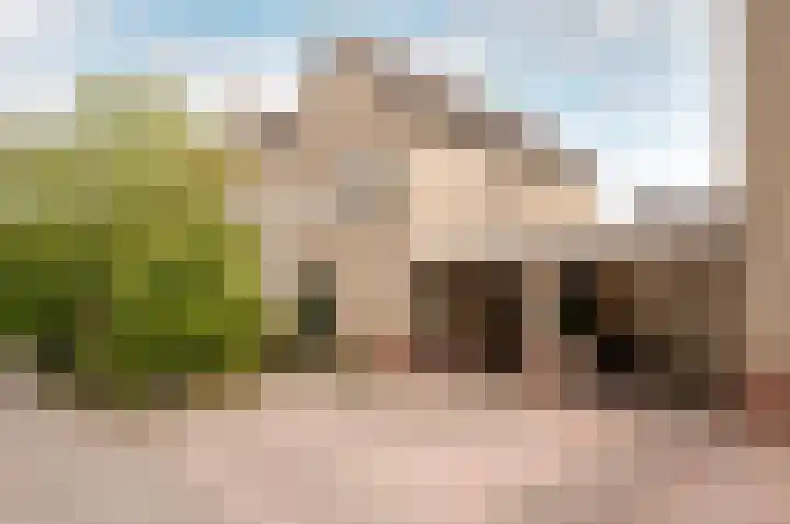 Hoornsgulden 8 Dronten thumbnail 5
