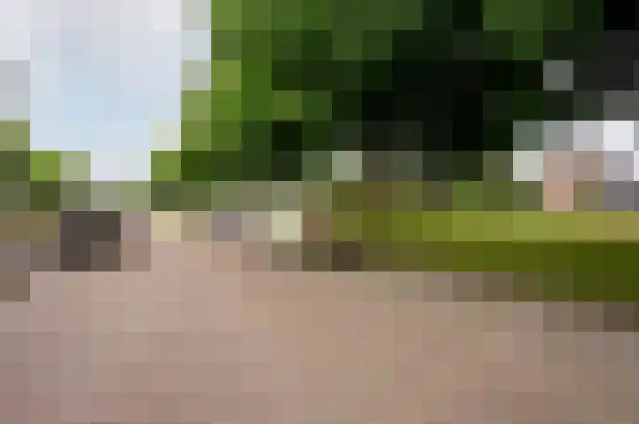 Hoornsgulden 8 Dronten thumbnail 50