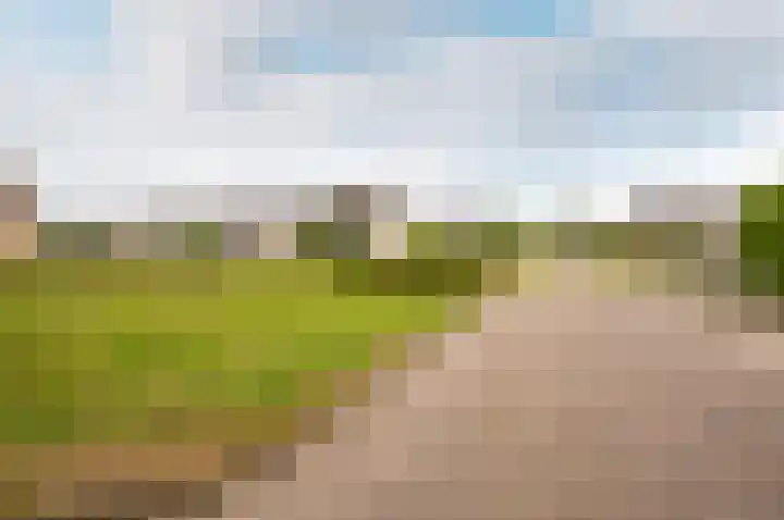 Hoornsgulden 8 Dronten thumbnail 51