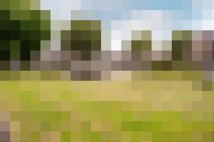 Hoornsgulden 8 Dronten thumbnail 52
