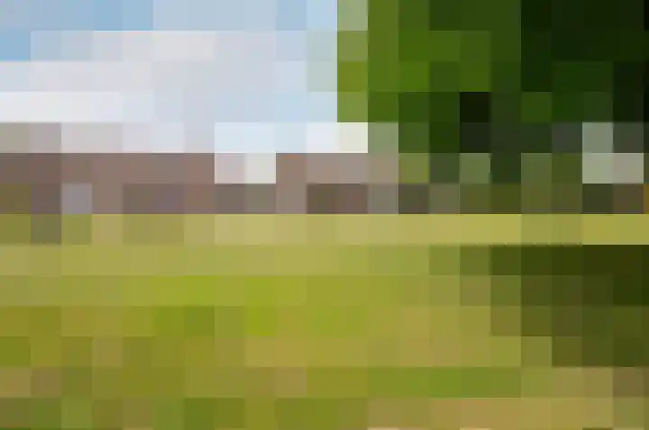 Hoornsgulden 8 Dronten thumbnail 53