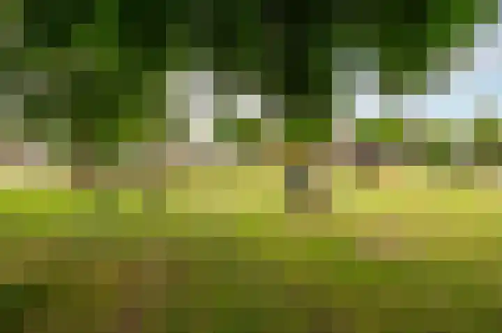 Hoornsgulden 8 Dronten thumbnail 54